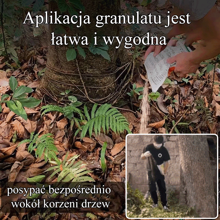 Mixed bambusowa siatka zgniły król korzeni