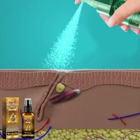 1 (12).gif