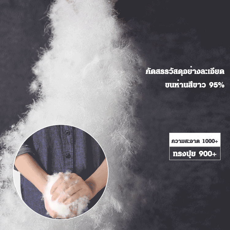 ผ้านวมขนห่านสีขาว 95%