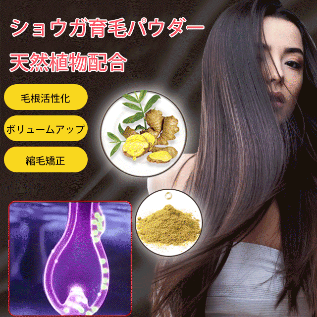 ショウガ育毛パウダー