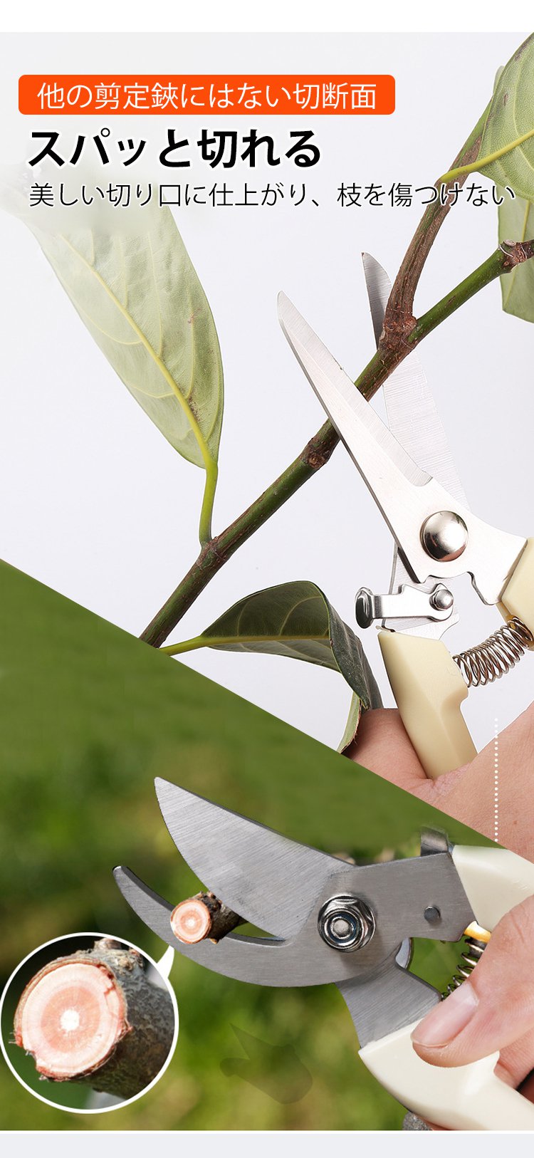 剪定バサミのパッケージ画像