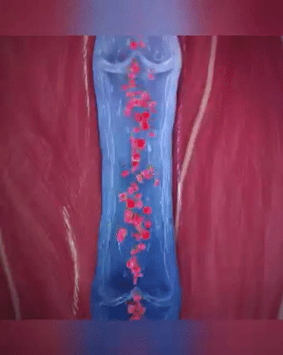 最後の1時間は半額!【足の専門医が推薦】男女兼用矯正用5本指浅履きソックス、効果がなければ全額返金保証！ - detail 17