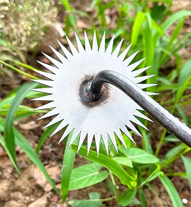 ギザ歯式草削りを使って雑草をカットする様子