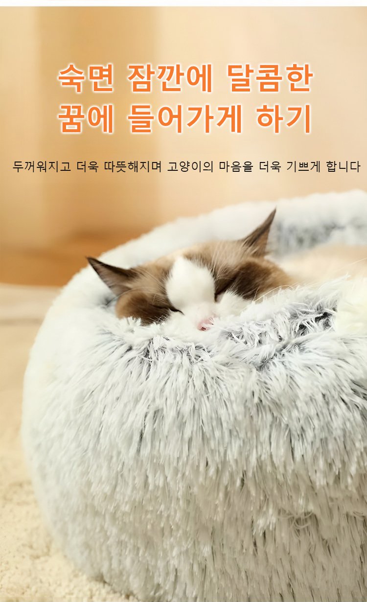 宠物窝_30.jpg