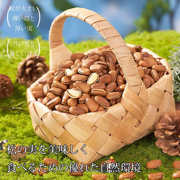 ブラジル産の殻付き松の実