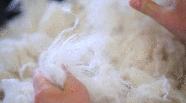 a0533ce090156357317443856e170a11.gif