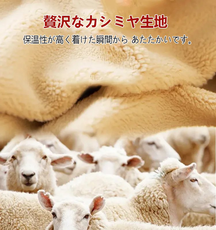 【本日限定 1本購入で1本無料！】ストッキング風透け感ありの裏起毛タイツ