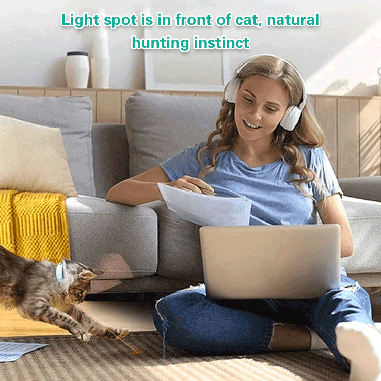 Automatic cat teaser collar