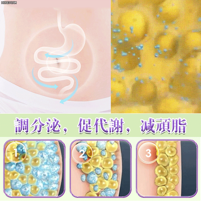 【正品保障】自然風乾新疆西梅幹